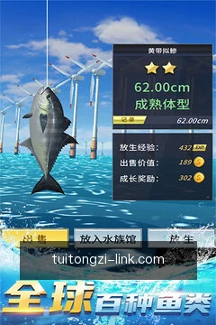 动态消息推送
