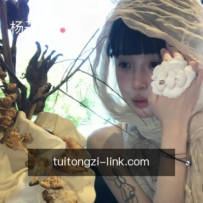 杨子豪